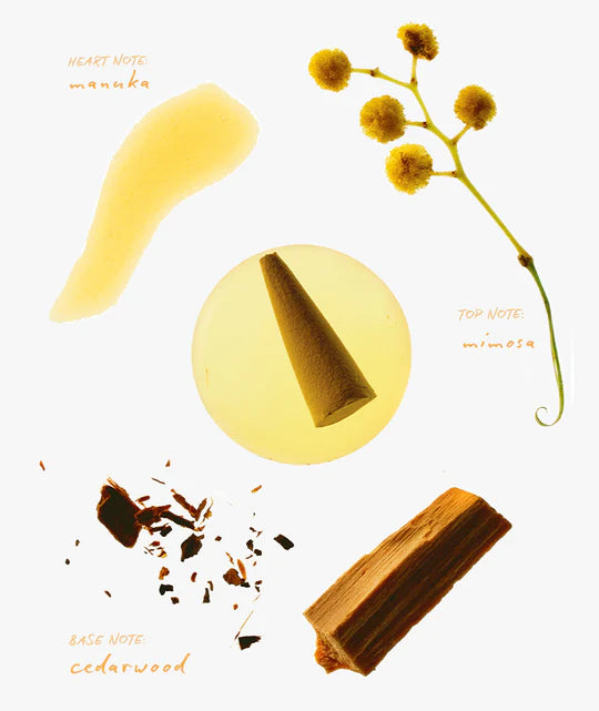 Ripple⁺ Incense Duo