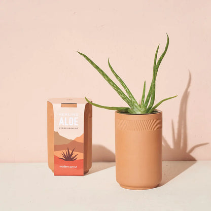 Terracotta Kit - Aloe