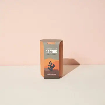 Terracotta Kit - Cactus